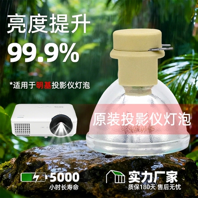 适用于奥图码 HD8200/HD808/HD131XE/HD82/DT244/DT245/DN246/DM126/DM191/PRO150S/350W/250X投影机/仪灯泡