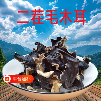 四川大木耳白背干货肉厚脆爽