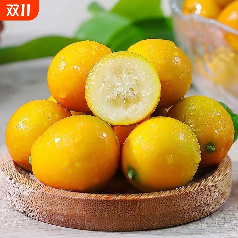 广西滑皮金桔现摘新鲜当季现摘