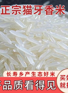 正宗猫牙香米大米广西寿乡上林特产香米农家晚稻籼米新米细长10斤