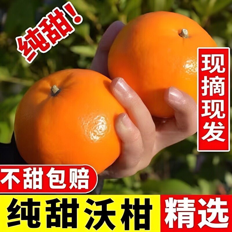 正宗云南沃柑新鲜水果当季整箱时令9斤砂糖现摘源头纯甜好吃告白