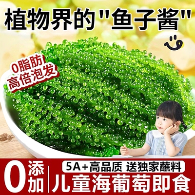 海葡萄新鲜即食泡发盐渍蔬菜鱼子酱海藻儿童宝宝健康海味爆珠好吃