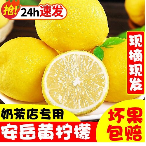 四川安岳黄柠檬正宗新鲜精选薄皮奶茶店专用榨汁整箱包邮现摘