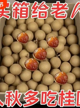 抢新货桂圆干特级14A大果带壳核小肉厚福建莆田龙眼干干龙眼新鲜
