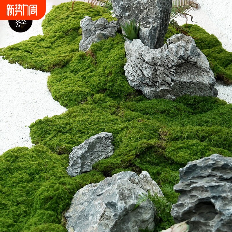 仿真苔藓绿植装饰人造草皮微景观造景田园风格MKNOVO美空假绿植