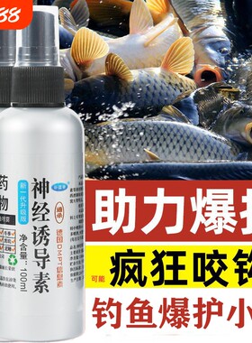 神经诱导素黑坑野钓钓鱼爆护小药添加剂饵料鲤鱼四季开口剂诱鱼剂