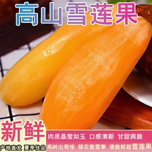 云南高山包邮新鲜水果当季应季红心特级8.5斤装大果雪莲果