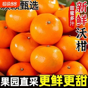 广西沃柑新鲜当季特产整箱水果沙糖蜜橘砂糖柑橘桔子橘子9斤包邮