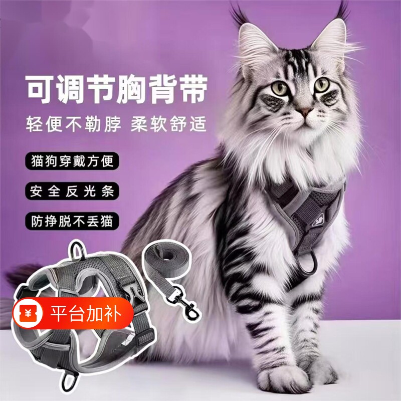 遛猫咪牵引绳防挣脱不勒脖外出专用溜猫绳缅因德文布偶幼猫咪胸背