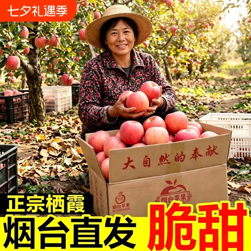 【产地直发】正宗烟台红富士