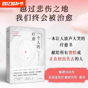 正版速发一个人的疗愈越过悲伤之地我们终会被治愈一本让人放声大哭的书7次互助会谈6个自我练习开启之旅樊登推荐情绪