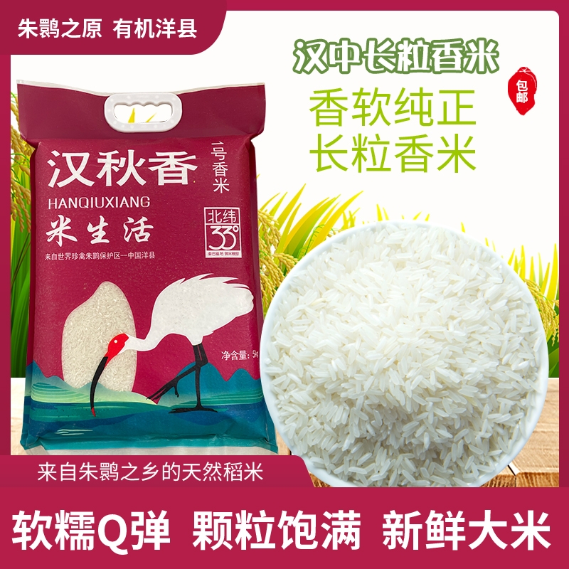 长粒香米5斤/10斤丝苗米猫牙米煲仔饭大米新米现磨现发批发