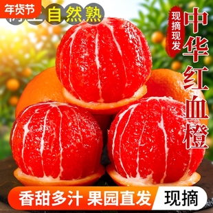 橙子秭归现摘中华红血橙孕妇水果湖北直发果园大果榨汁年货节精选