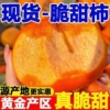 正宗阳丰脆柿应季新鲜甜柿子4.5斤