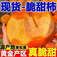 正宗阳丰脆柿应季新鲜甜柿子4.5斤