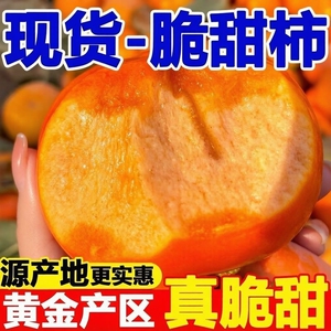 正宗阳丰脆柿应季新鲜甜柿子4.5斤