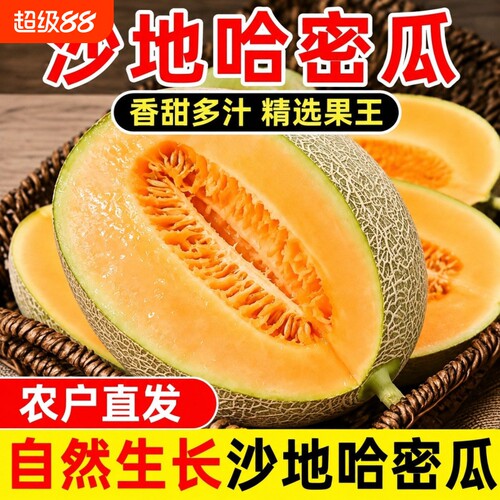 现摘正宗晓蜜脆甜哈密瓜10斤
