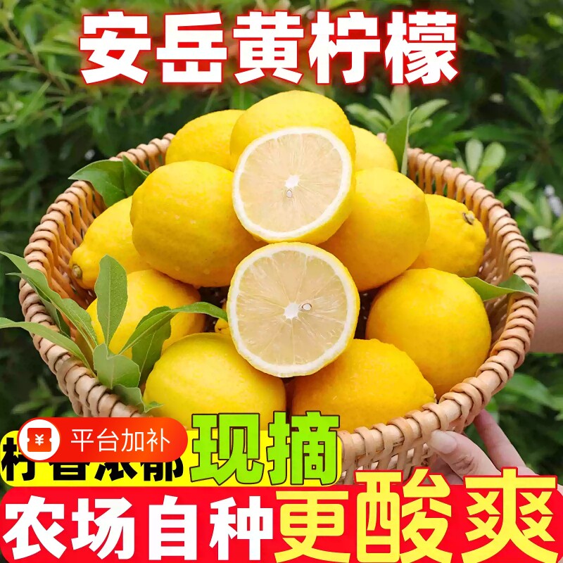 四川安岳新鲜黄柠檬果园直发新鲜现摘酸爽多汁奶茶店商超专用包邮