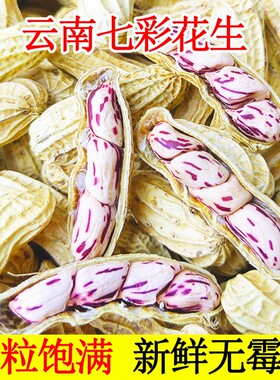 正宗云南七彩花生新鲜新货花生米晒干五彩零食碧根果咸干水煮带壳