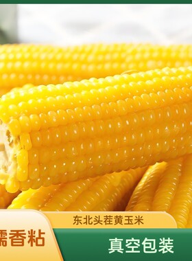 东北黄糯玉米大棒新鲜玉米真空锁鲜松原糯又味粗粮香甜黄金现摘