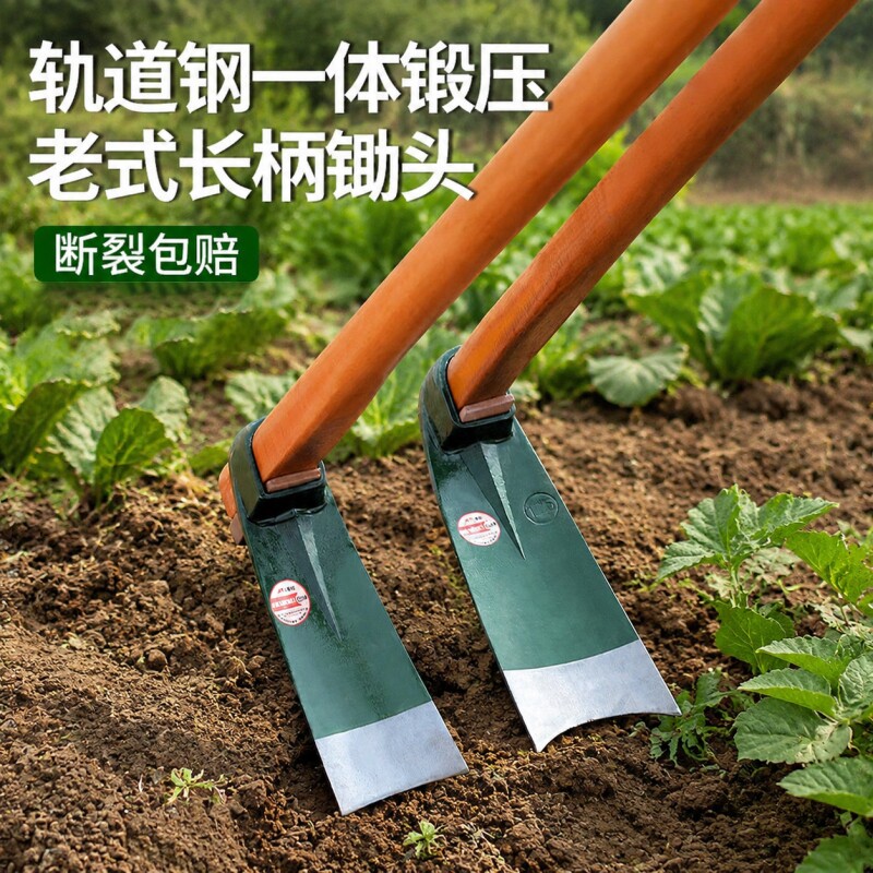 挖笋专用锄头农具种菜两用农用挖土开荒除草工具加厚全钢挖冬笋锄图片