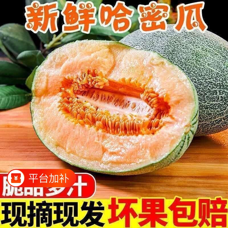 正宗海南哈密瓜10斤新鲜水果整箱当季新网纹西州蜜瓜25玫珑甜瓜疆