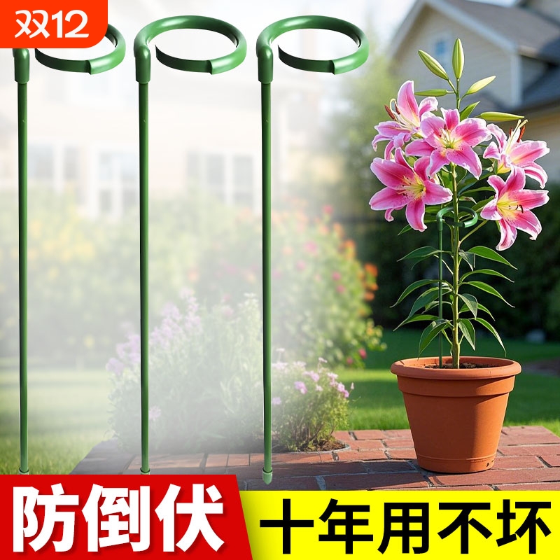 植物支撑杆龟背竹花卉支撑架