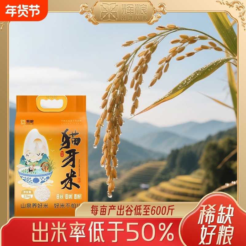 猫牙米正宗大米当季新米长粒香大米丝苗米煲仔饭油粘米真空包装,粮油调味/速食/干货/烘焙,大米,淘宝优惠券,粉丝福利购,淘宝优惠卷