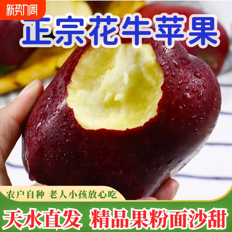 正宗甘肃天水花牛苹果新鲜香甜蛇粉面果10斤整箱水果当季平果包邮