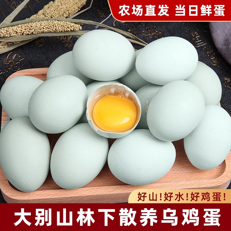 乌鸡蛋正宗农家散养湖北大别山五谷杂粮谷物蛋绿壳土鸡蛋现发自提