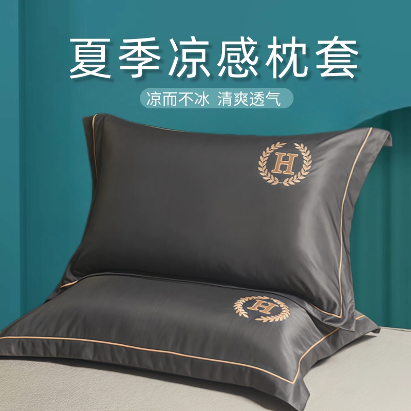 夏季水洗一对装丝枕套单人48x74凉感2024新款内胆夏套一只装夏日