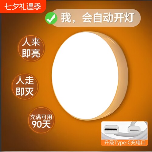 【人来灯亮人走灯灭感应夜灯】