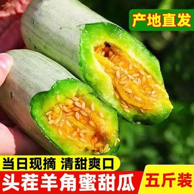 正宗山东潍坊羊角蜜甜瓜新鲜水果整箱5斤羊角脆蜜瓜当季现摘香瓜