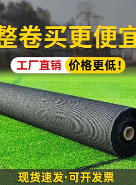 假草坪仿真绿色草皮地毯户外人造塑料垫子地垫阳光房屋顶隔热围挡