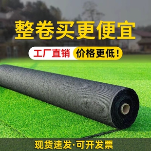 假草坪仿真绿色草皮地毯户外人造塑料垫子地垫阳光房屋顶隔热围挡