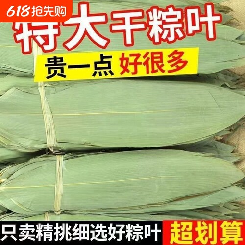 干粽叶粽子叶大宽叶端午包粽子专用野生正宗新鲜箬叶批发包邮叶子