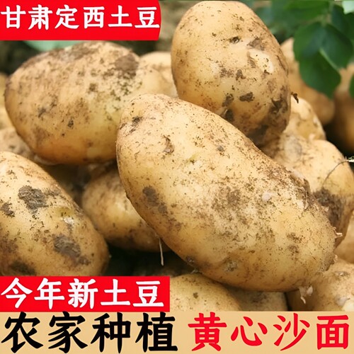 甘肃定西土豆新鲜黄心沙面土豆马铃薯农家土豆洋芋沙面土豆9斤
