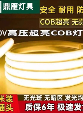 鼎雁超亮COB灯带LED220v户外防水客厅吊顶自粘软灯条室内家用室外