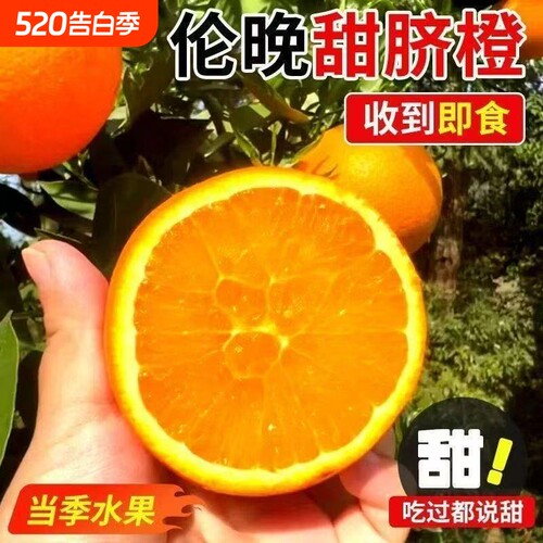 正宗伦晚脐橙秭归手剥橙子新鲜皮薄多汁现摘无籽薄皮孕妇当季水果