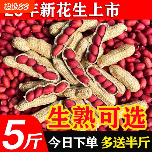 东北红皮花生25年农家新货不带壳新鲜红衣小四粒红花生仁原味炒货