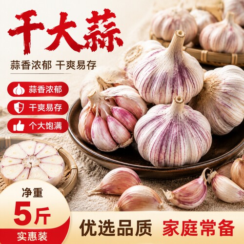 特大干蒜大蒜山东紫皮大蒜头新干蒜批发整箱新鲜净重实惠优选种子