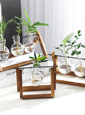 创意烧杯水培花瓶办公室桌面摆件木架容器绿萝植物玻璃插花瓶装饰