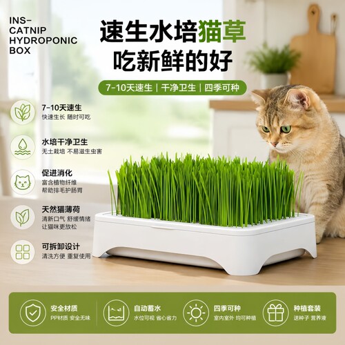 无土水培猫草盆栽种植盒懒人种子育苗盘小麦化毛泡面猫好物植物