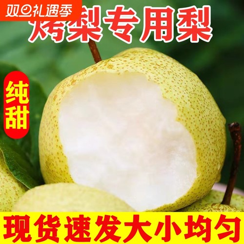砀山香酥烤梨9斤新鲜现摘包