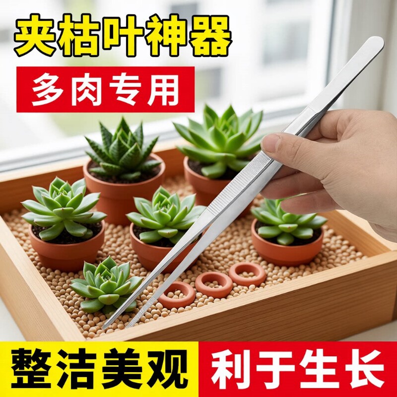 多肉专用不锈钢加长带齿大镊子鱼缸水草昆虫多肉园艺夹子镊子工具