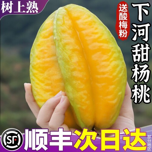 顺丰 福建漳州甜杨桃5斤大果新鲜水果洋桃鲜果红龙扬桃五角星阳桃