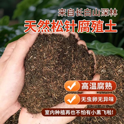 松针腐殖土纯泥炭天然腐叶腐熟
