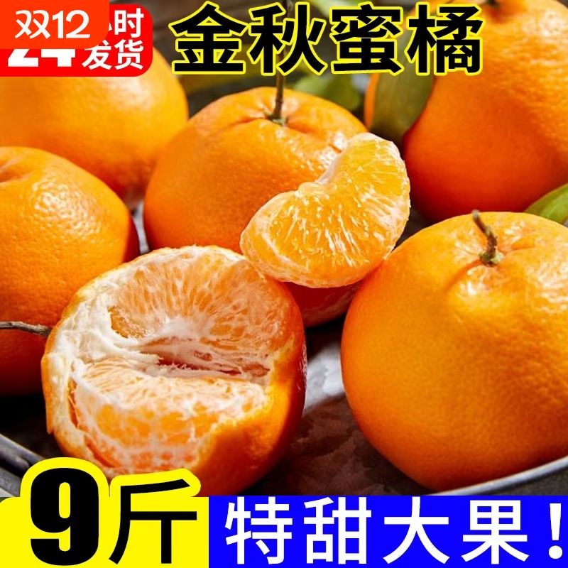 婵小妹5斤大果蜜橘|千人回购