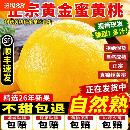 砀山黄桃新鲜水果9斤当季毛桃