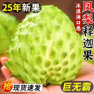 5斤礼盒装凤梨释迦果新鲜现摘当季番荔枝大果水果大目林檎摩尼甜